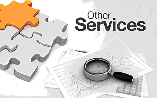 Other IT services including printer support and surveillance systems